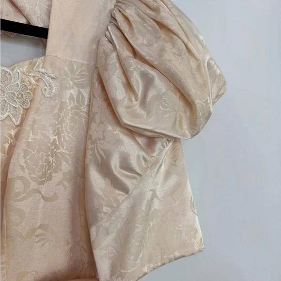 Romantic champagne vintage dress puffy sleeves lace cottagecore tulle - Picture 6 of 16